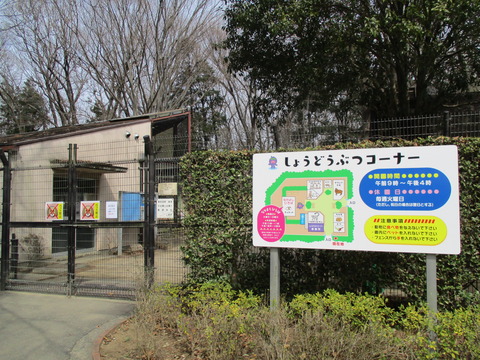 24小動物コーナー