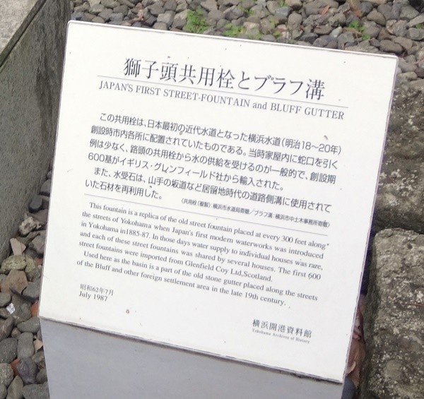 DSC01600-600