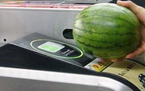 suica-header
