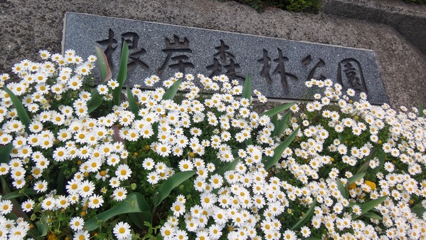 DSC02596-1500