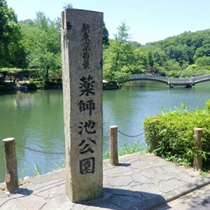 Yakushi-ike_Park-300