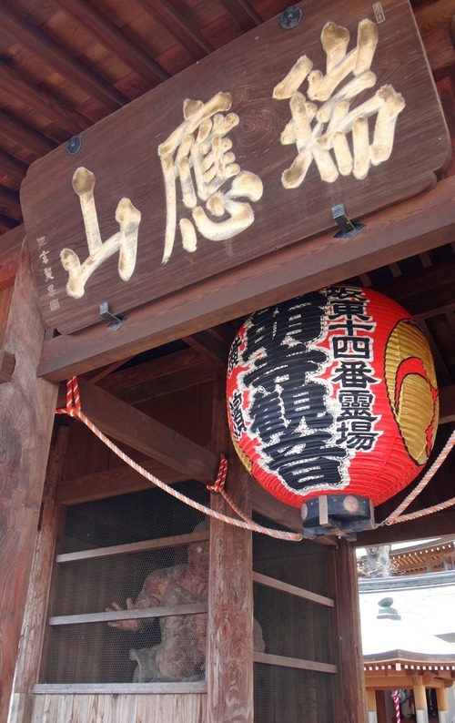 DSC01250-800