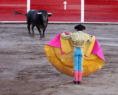 400px-San_marcos_bullfight_01