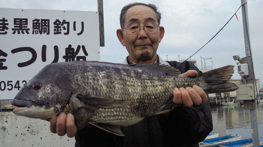 2月24日 木 清水港クロダイ釣果 黒鯛 だんご釣り 釣果 清水港カセ釣り