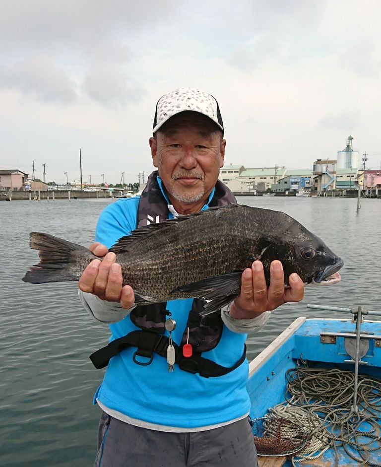 7月2日 火 清水港クロダイ釣果 黒鯛 だんご釣り 釣果 清水港カセ釣り