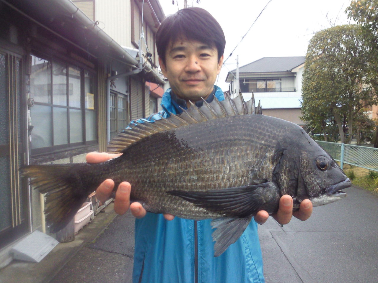 2月5日 木 清水港クロダイ釣果 黒鯛 だんご釣り 釣果 清水港カセ釣り