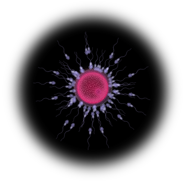 二次嫁を孕ませる方法 エロコラの作り方解説 Pc編 孕物語 ハラマセガタリ