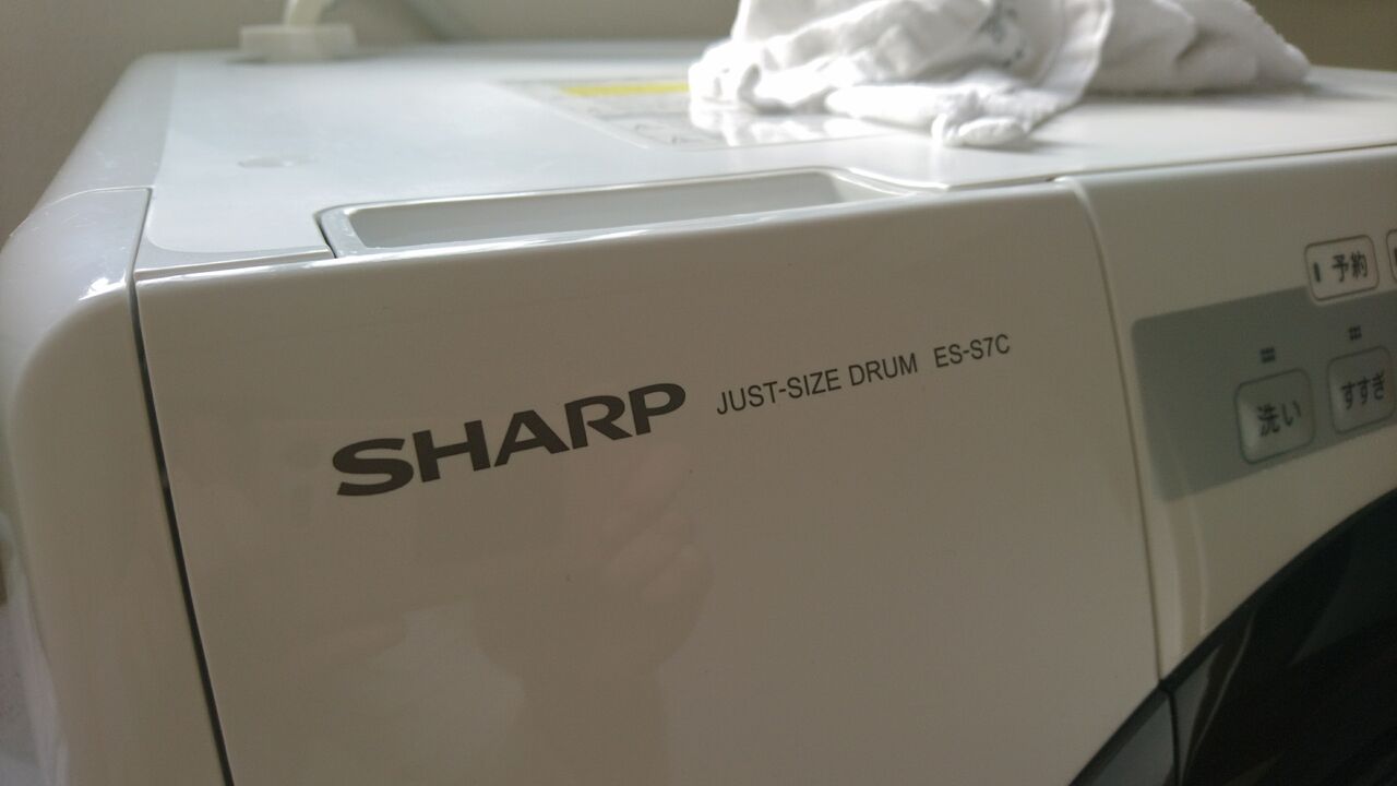 ドラム式洗濯機 ホコリ詰まりで分解するも挫折した話 ハラミホホミラハ