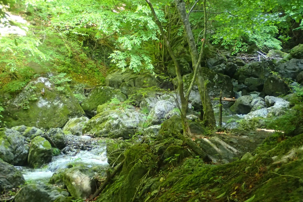 新緑の両神山 日向大谷口ピストン 晴れたら山へ行きましょう