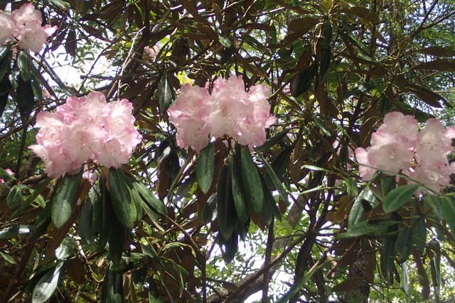 035