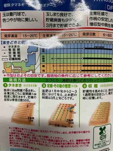 IMG_6448
