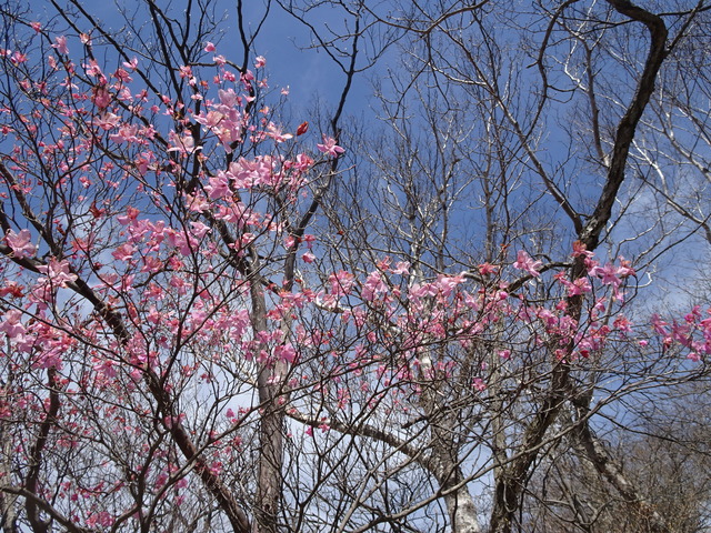 DSC09320