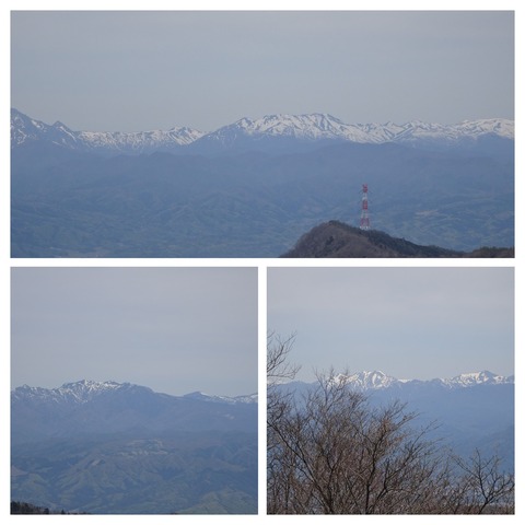 DSC09309-COLLAGE