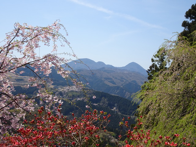DSC09080