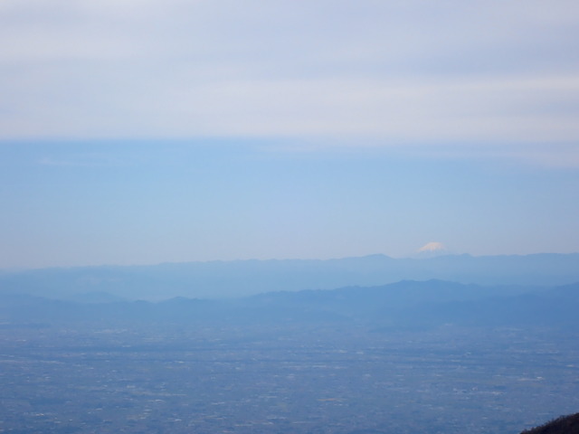 P5030416