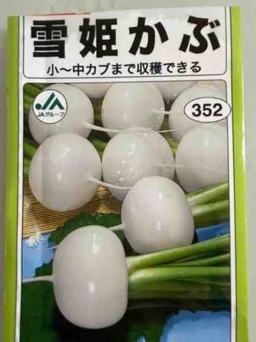 FullSizeRender