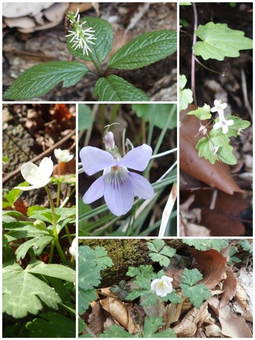 CollageMaker_20180413_104512520
