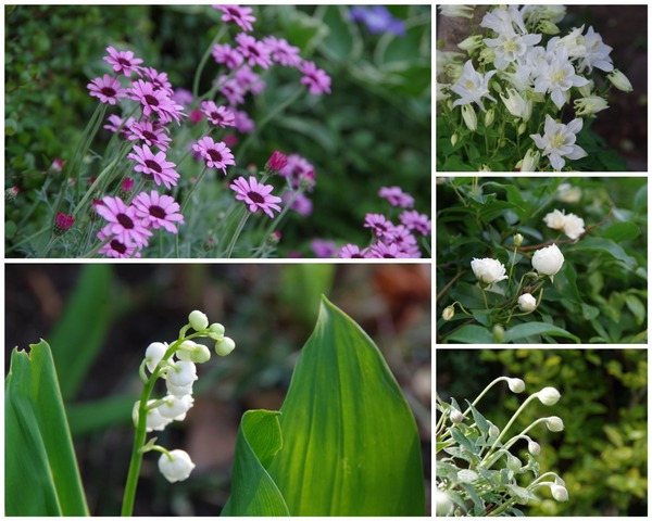 CollageMaker_20180422_225736655