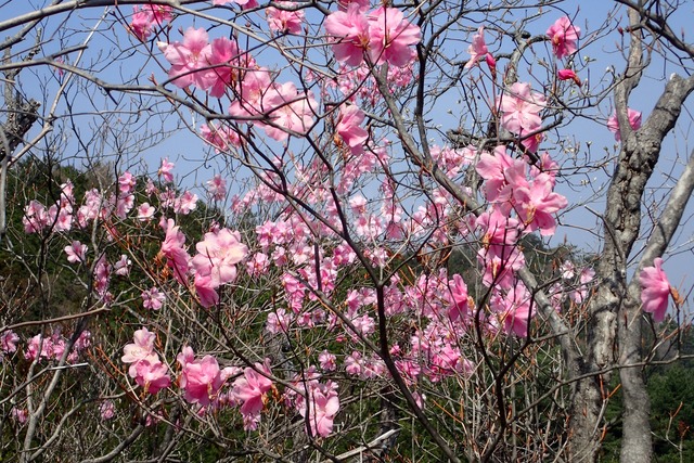 061