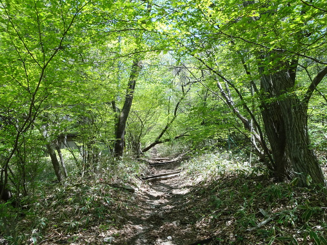 DSC09347