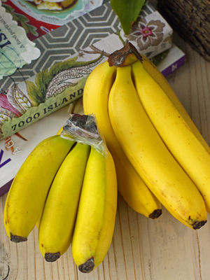 banana 4