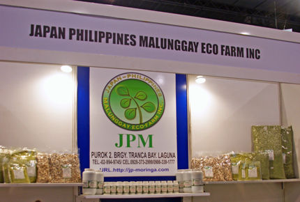 malunggay 23