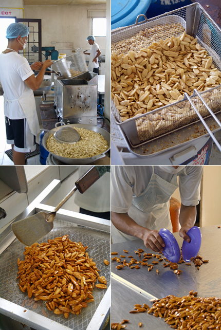 pilinut 05