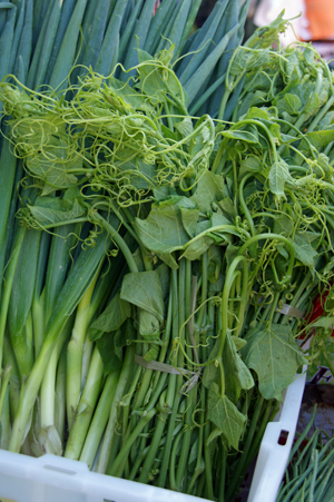 vege 4