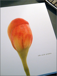 BOOK WILD PLANT2