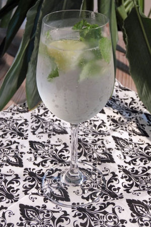 tanduay silver rum 5