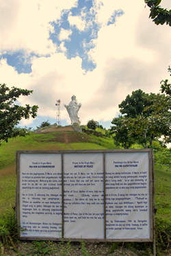 lady of the most holy rosary2