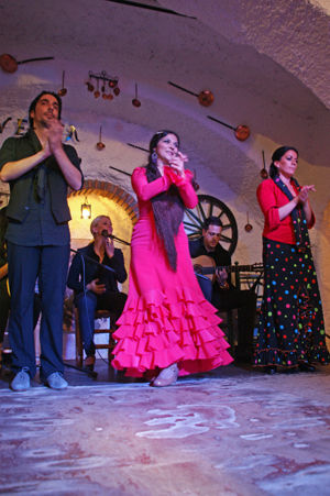 venta el gallo-14