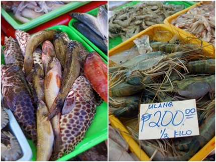 seafood 3