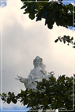 lady of the most holy rosary1
