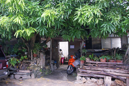 osang's