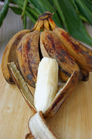 saba 3