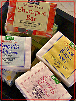 SOAP4