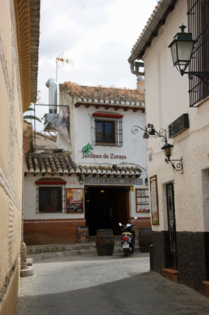 los jardines de zoraya 2