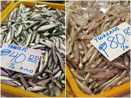 seafood 4