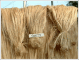 abaca fiber