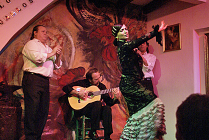 los gallos-2