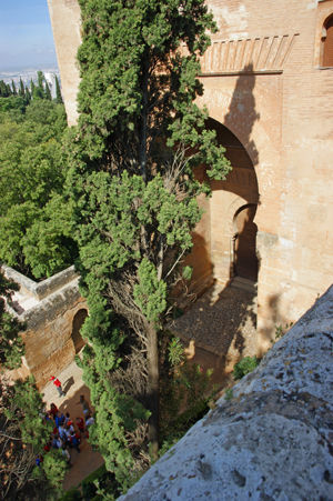 alhambra 14