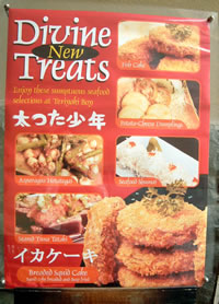 TERIYAKI3