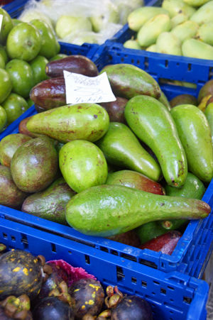 avocado 2