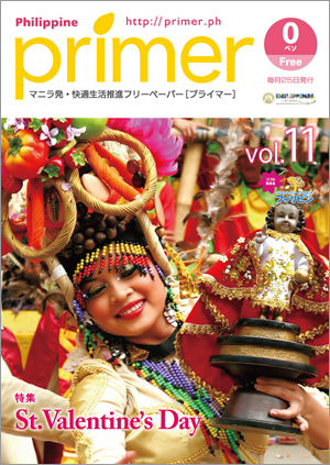 primer vol.11