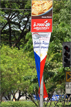 flag 8