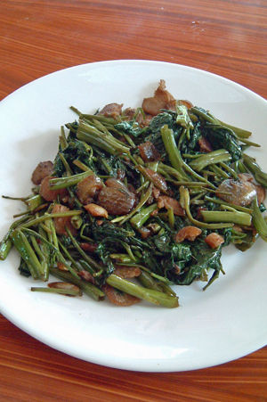 kangkong