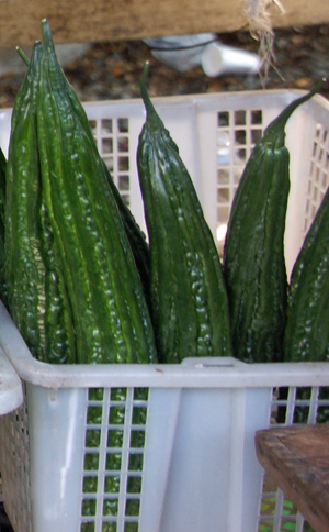 vege 12