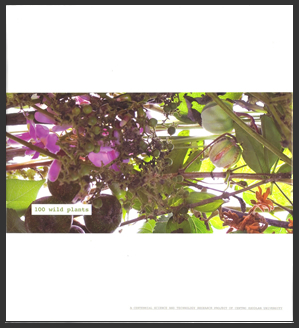 BOOK WILD PLANT1