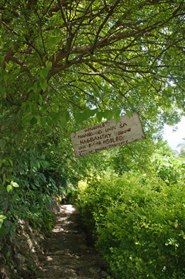 oslob 12